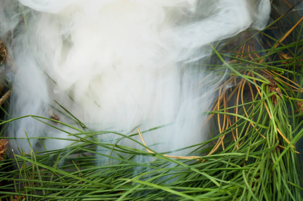 Білий густий дим з соснових дерев кістковий вогонь. голки. Весняне прибирання
 - Фото, зображення