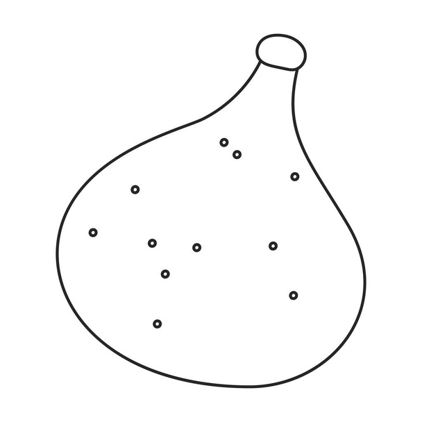 Fig vector outline icon. Vector illustration slice fruit on white background. Isolated outline illustration icon of fig. - Vektör, Görsel