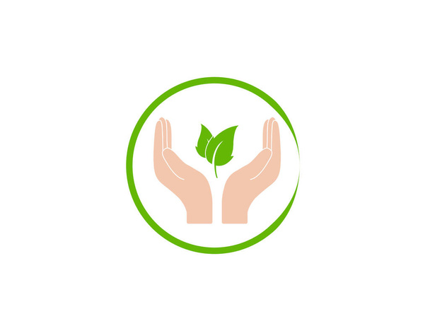 Vector illustration. Plant leaf in hand icon - Vector, imagen