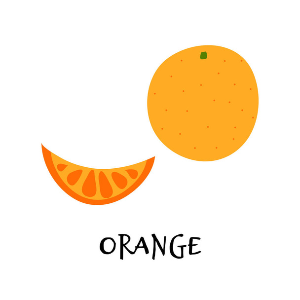 Vector illustration of orange in hand drawn flat style. - Vettoriali, immagini