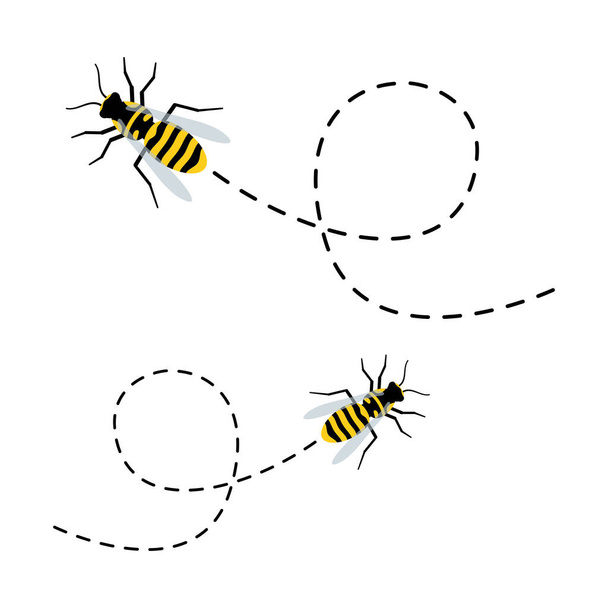 Bijen karakter. Leuke vliegende bijen met stippelroute. Vector tekenfilm insecten illustratie. geïsoleerd op wit - Vector, afbeelding