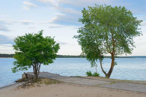 An old concrete pier with trees on the bank of a wide river - Фото, зображення