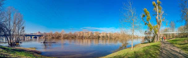 Panorámica sobre el bosque antiguo en el parque de la ciudad en primavera llamado Herrenkrug cerca de Magdeburgo y el río Elba, Alemania, día soleado, cielo azul - Foto, imagen