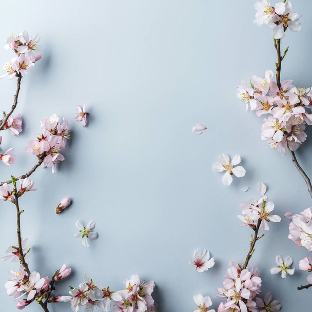Virágzó tavasz, sakura virágzó ágak világoskék háttérrel bokeh, fény. Kellemes húsvéti ünnepeket, felülnézetet, banner - Fotó, kép