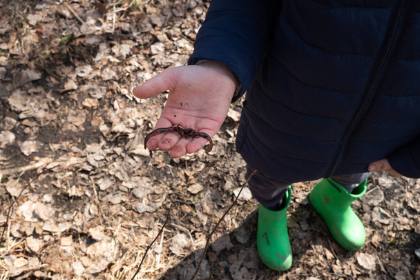niño sosteniendo un gusano en sus manos, el día de primavera. concepto de recreación al aire libre y viajes. primer plano. - Foto, imagen