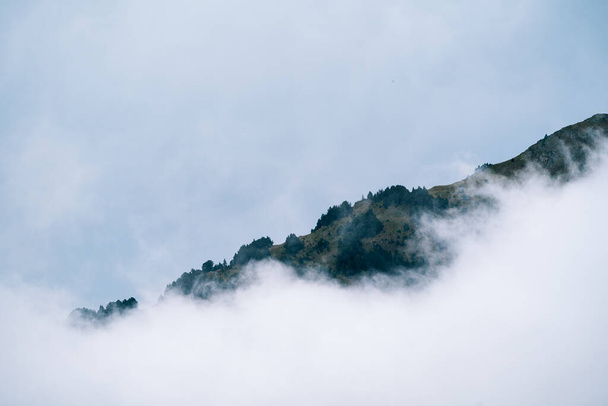 Misty mistige berglandschap met copyspace in sombere ochtend sfeer. Donkere toon, slecht weer en bewolkte dag. - Foto, afbeelding