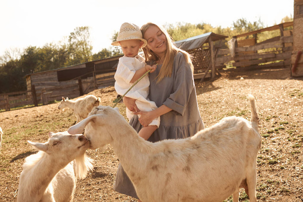 mother and son walking among the animals on the farm - Φωτογραφία, εικόνα