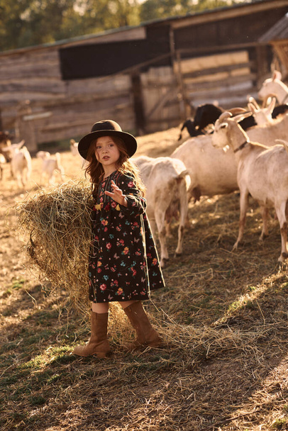A little girl enjoys being on a farm with animals. - 写真・画像