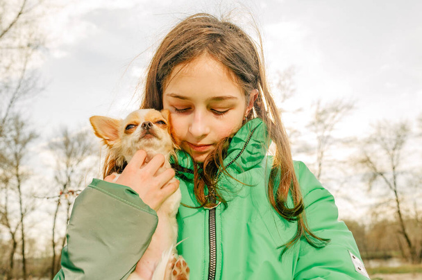Chica adolescente con chihuahua. chica en chaqueta verde con cachorro en sus brazos. Chihuahua perro con chica. - Foto, imagen