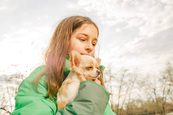 Adolescente avec chihuahua. fille en veste verte avec chiot dans les bras. Chihuahua chien avec fille. - Photo, image