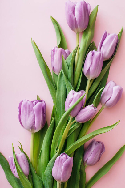 Purple tulips on pink background. Flat lay, top view. Flower composition. Spring time concept - Foto, imagen