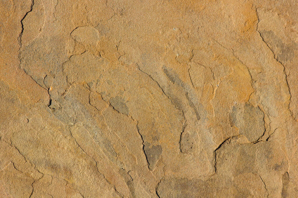Жовтий пісковик природна поверхня обличчя, кореневий марико, південна африканська - Фото, зображення