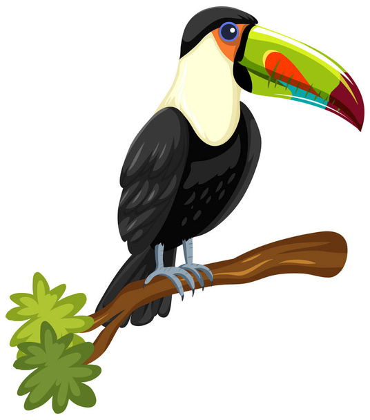 Uccello tucano su un ramo isolato su sfondo bianco illustrazione - Vettoriali, immagini