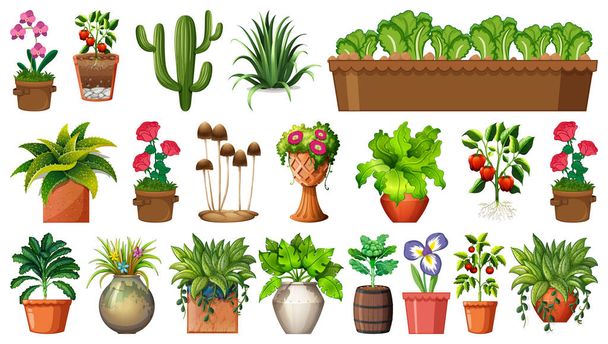 Set verschiedener Pflanzen in Töpfen isoliert auf weißem Hintergrund Illustration - Vektor, Bild