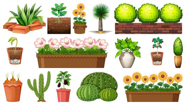 Sada různých rostlin v květináčích izolovaných na bílém pozadí ilustrace - Vektor, obrázek