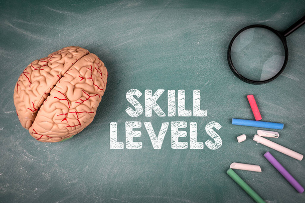 Skill Levels concept. Brain model, magnifying glass and colored chalks on a green chalk board - Fotoğraf, Görsel