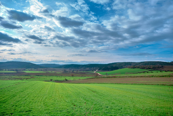 Prächtiges grünes Gras und landwirtschaftliche Felder mit kleinen Schotterwegen weit weg. Naturblick mit herrlichen Wolken und kleinen Hügeln. Horizont trennt blauen Himmel und landwirtschaftliche grüne Felder. - Foto, Bild