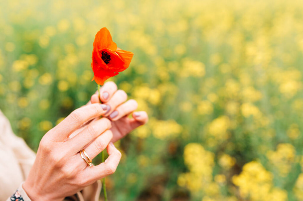 flor de amapola en las manos de una mujer joven - Foto, Imagen