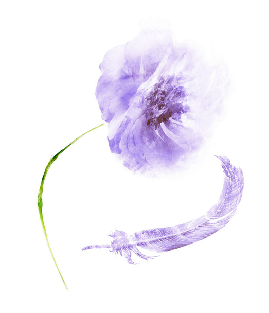 Watercolor flower and feather, isolated on white background - Фото, изображение