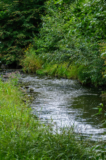 río bosque lento en bosques verdes de verano con rocas en el arroyo y pequeñas cascadas - Foto, Imagen