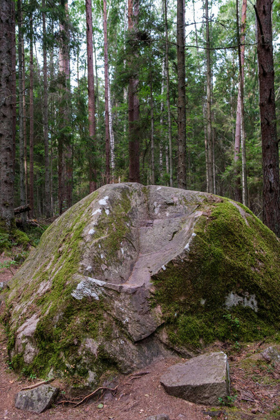 великі камені в дикому лісі з мохом і тріщинами з часом
 - Фото, зображення