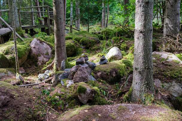 grosses pierres dans la forêt sauvage avec de la mousse et des fissures de temps en temps - Photo, image