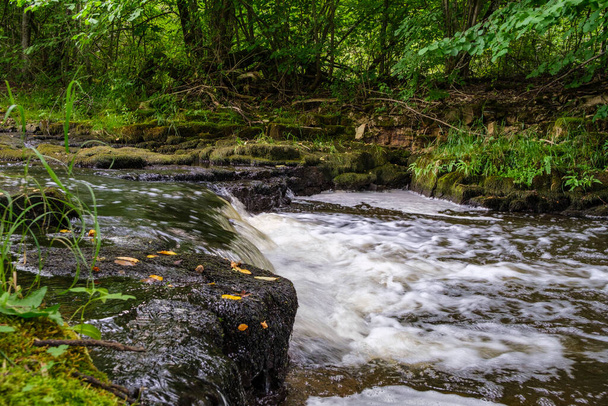 slow forest river in summer green woods with rocks in stream and small waterfalls - Photo, Image