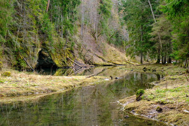 falaises de grès sur la rive de la rivière Gauja forêt en Lettonie. - Photo, image