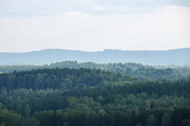 erdő kilátás felülről köd és köd, távoli horizont a nyári táj - Fotó, kép