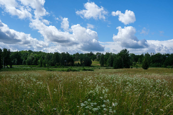 krajobraz wiejski z zieloną łąką i błękitnym niebem powyżej. prosta wieś - Zdjęcie, obraz
