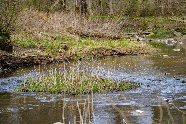 krajina les řeka s modrou vodou a skály na břehu s jarní vegetací - Fotografie, Obrázek