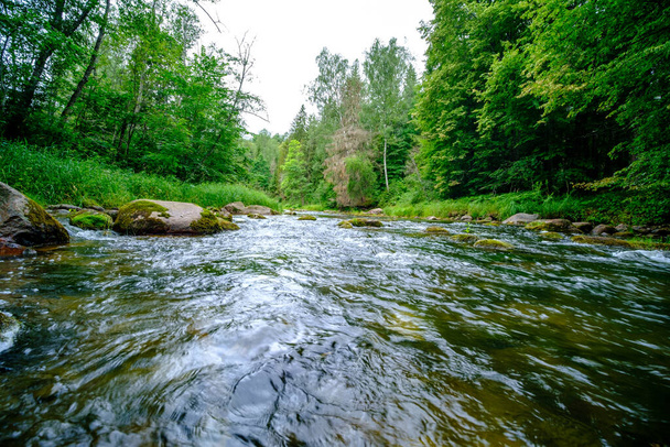 small country river stream in summer green forest with rocks and low water - Photo, Image