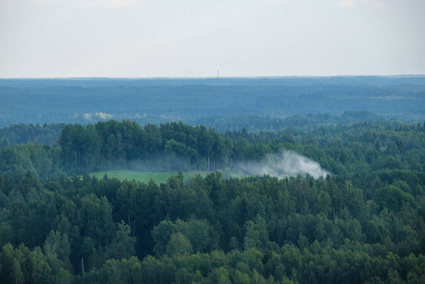 pohled shora na les s mlhou a mlhou, vzdálený horizont v letní krajině - Fotografie, Obrázek