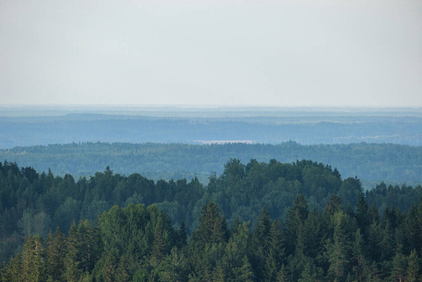 vue sur la forêt d'en haut avec brouillard et brouillard, horizon lointain dans le paysage estival - Photo, image