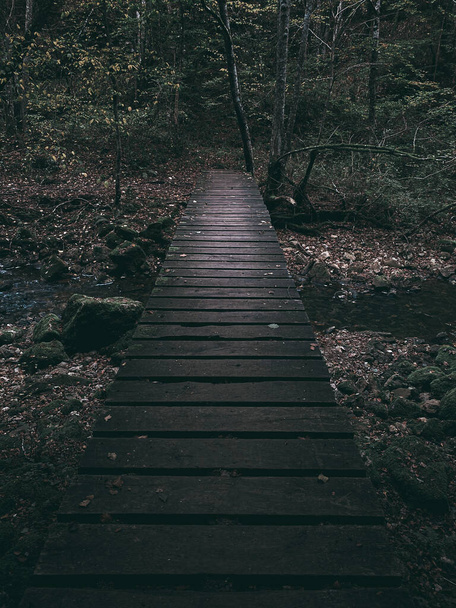 A vertical shot of a boardwalk over a water stream in an autumn forest - Photo, image