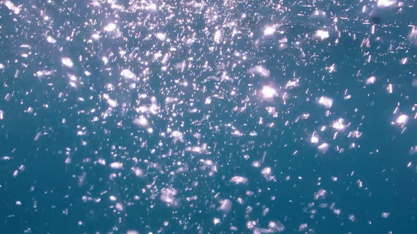 海水中のダイバーの泡 - 映像、動画