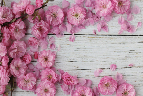 Flores de amêndoa em um fundo de madeira leve com espaço de cópia - Foto, Imagem