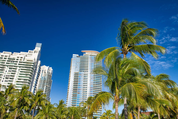 A group of tall buildings surrounded by palms. - Photo, Image
