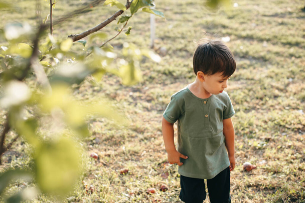 Felső nézet egy kaukázusi kisfiú sétál a fák között, gyümölcsöt keresve - Fotó, kép