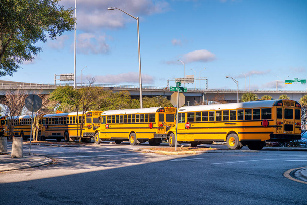 Wiersz żółtych autobusów szkolnych zaparkowanych w linii. - Zdjęcie, obraz