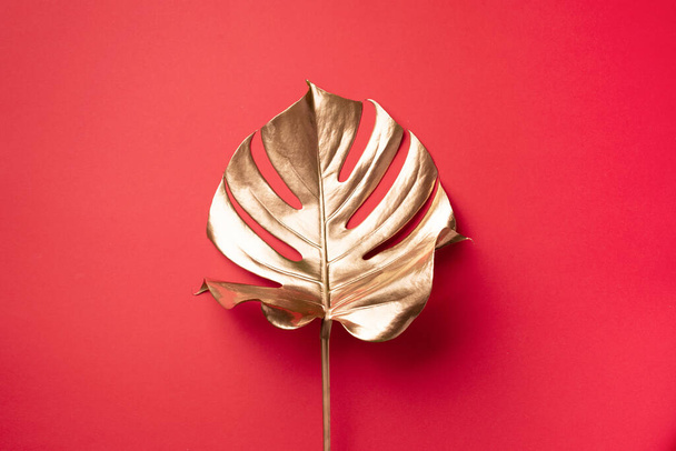 Golden tropical monstera leaf on red background with copy space. Top view. Flat lay. Creative layout. Exotic summer concept in minimal style - Фото, изображение