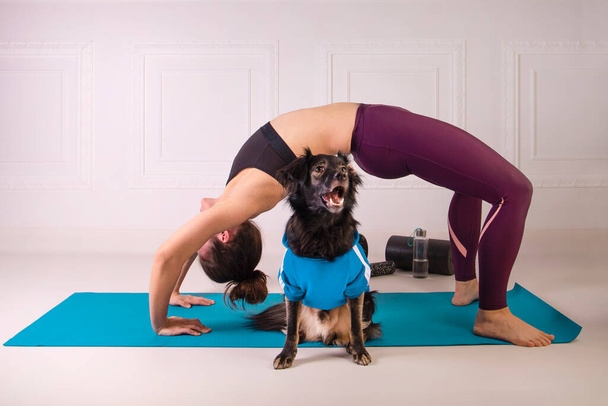 Deporte con un perro. Atractiva joven mujer haciendo ejercicio en la alfombra de fitness azul con su perro. Mujer atlética haciendo ejercicio. Fuerza y motivación, deporte y estilo de vida saludable. Aptitud femenina. - Foto, imagen