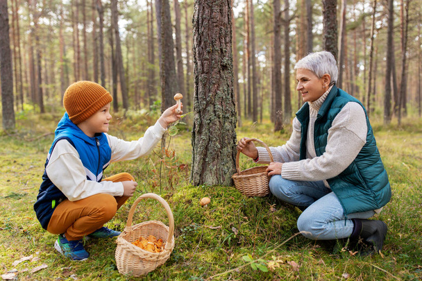 grandmother and grandson with mushrooms in forest - 写真・画像