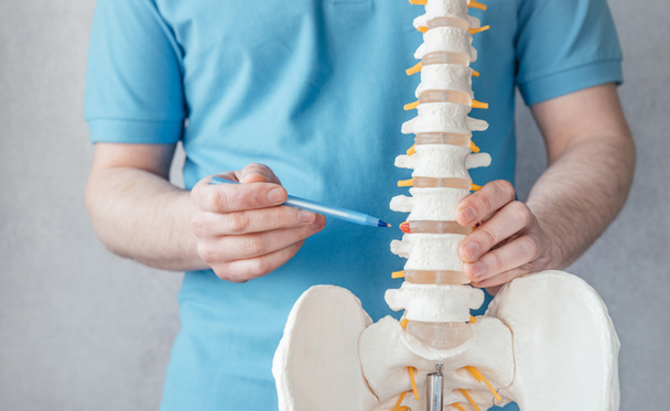 Los médicos varones señalan la hernia intervertebral en el primer plano del modelo de columna vertebral esquelética, el fisioterapeuta señala el modelo de columna vertebral en la clínica - Foto, imagen