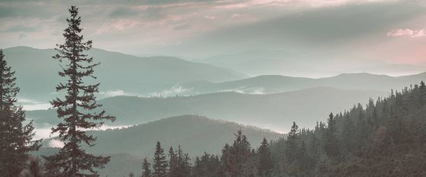 Gyönyörű természeti tájak a Kárpátok hegyeiben - Fotó, kép