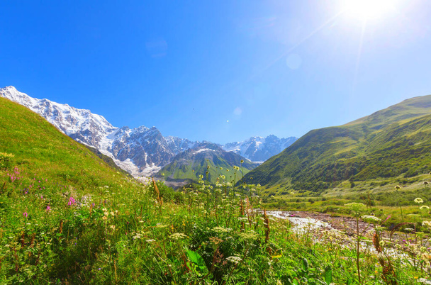 Mountain meadow in sunny day. Natural summer landscape. - Foto, Imagen