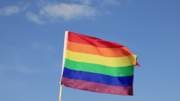 Acenando bandeira do arco-íris orgulho gay no céu azul de verão. Bandeira realista da organização LGBT para lésbicas, gays, homossexuais, bissexuais, pessoas transexuais - Filmagem, Vídeo
