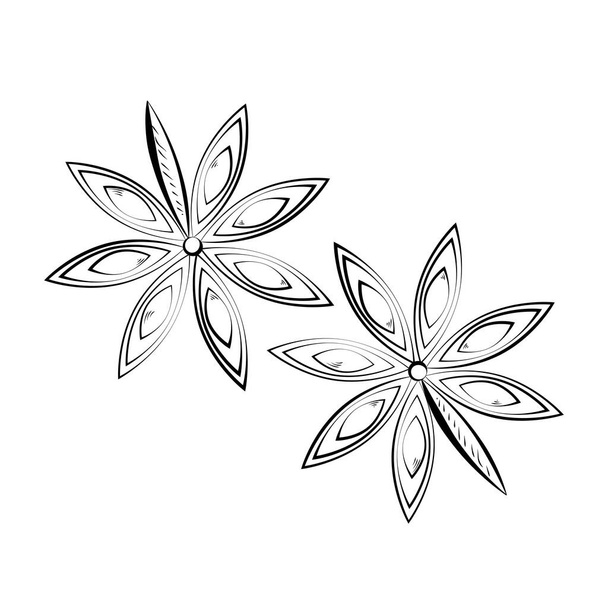 Піктограма малюнка зірки анісу ізольована на білому тлі. Векторні
 - Вектор, зображення