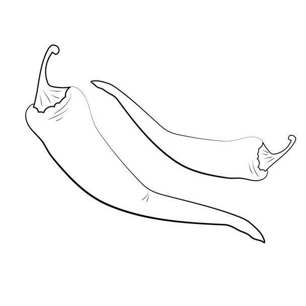 icona di disegno a mano peperoncino. Vettore - Vettoriali, immagini