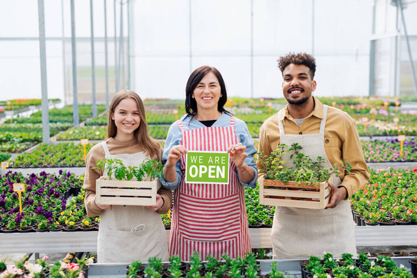 Portrait of people working in greenhouse in garden center, store open after lockdown. - Фото, зображення